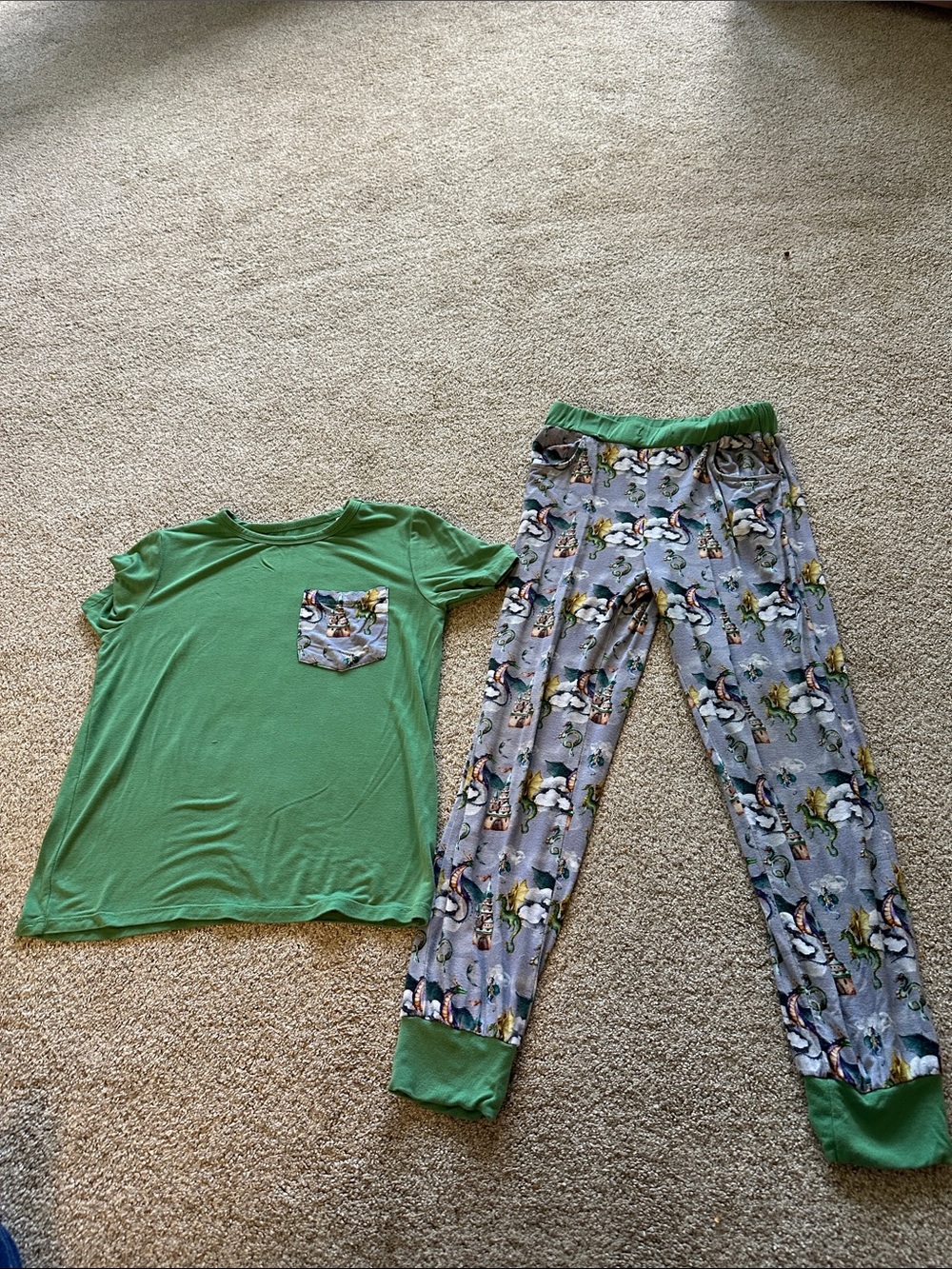 Laree & co Green Kids Pajama Set with dragon Print Pants Raphael dragons 5-6T
